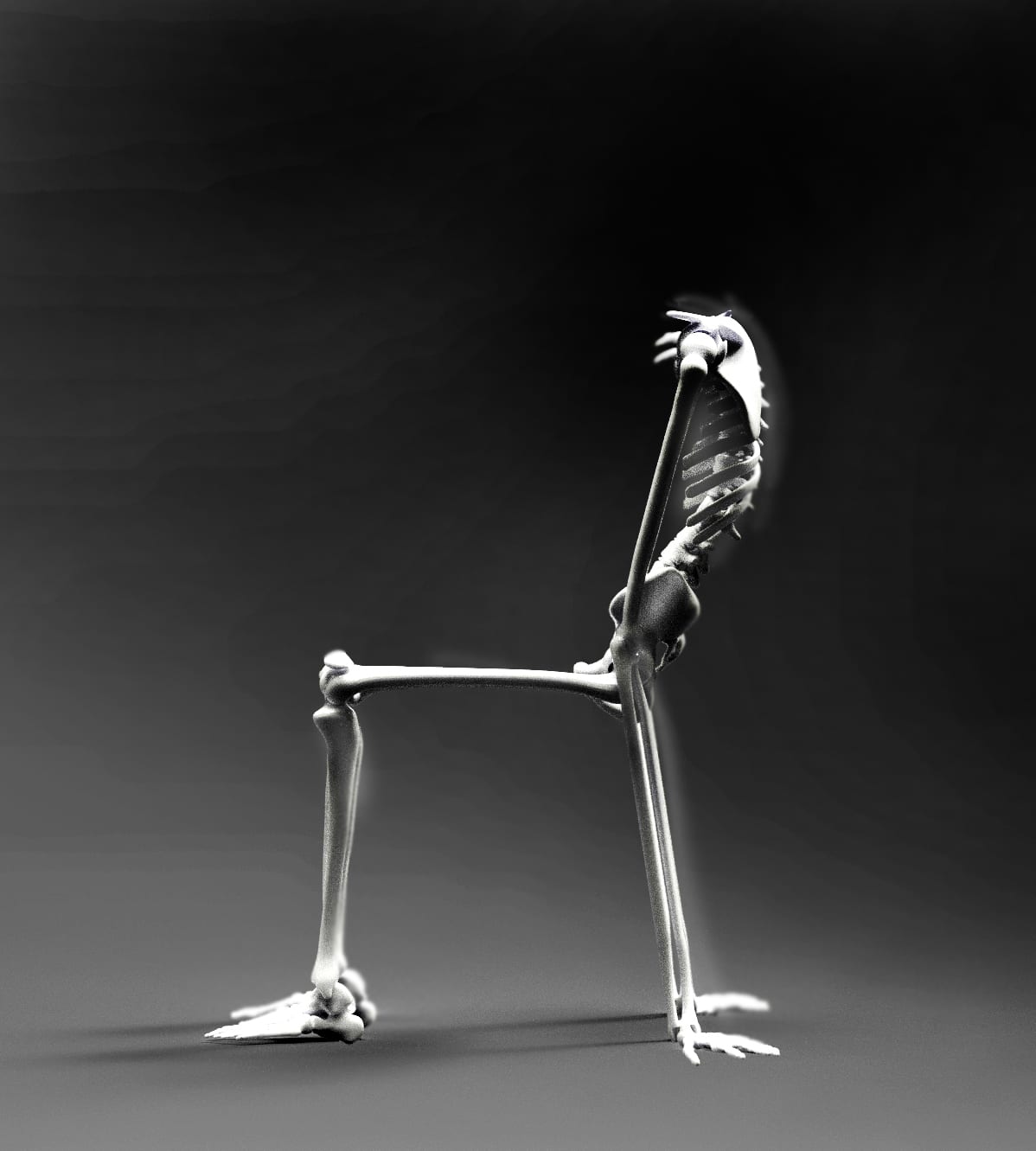 Skeleton Chair