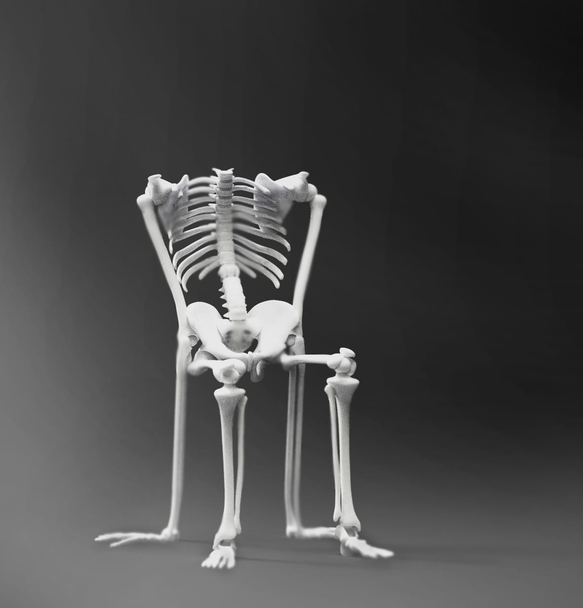 Skeleton Chair