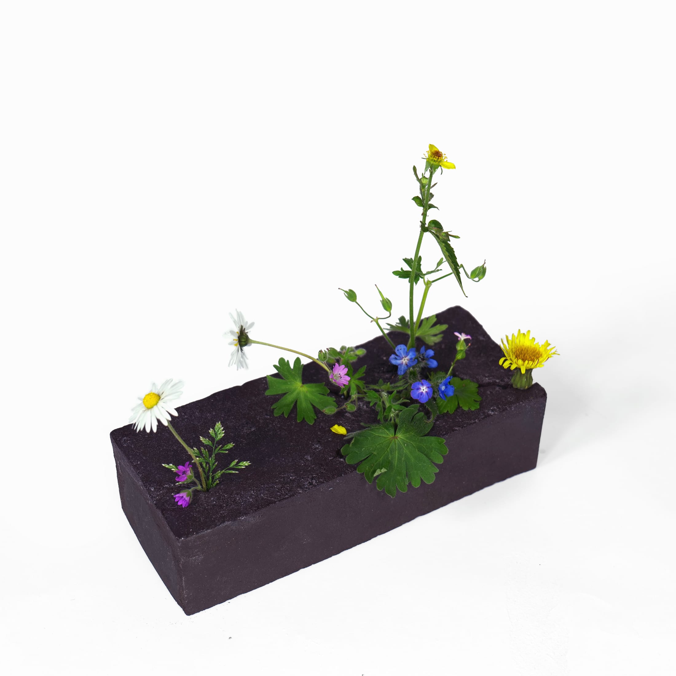 Vase for weeds