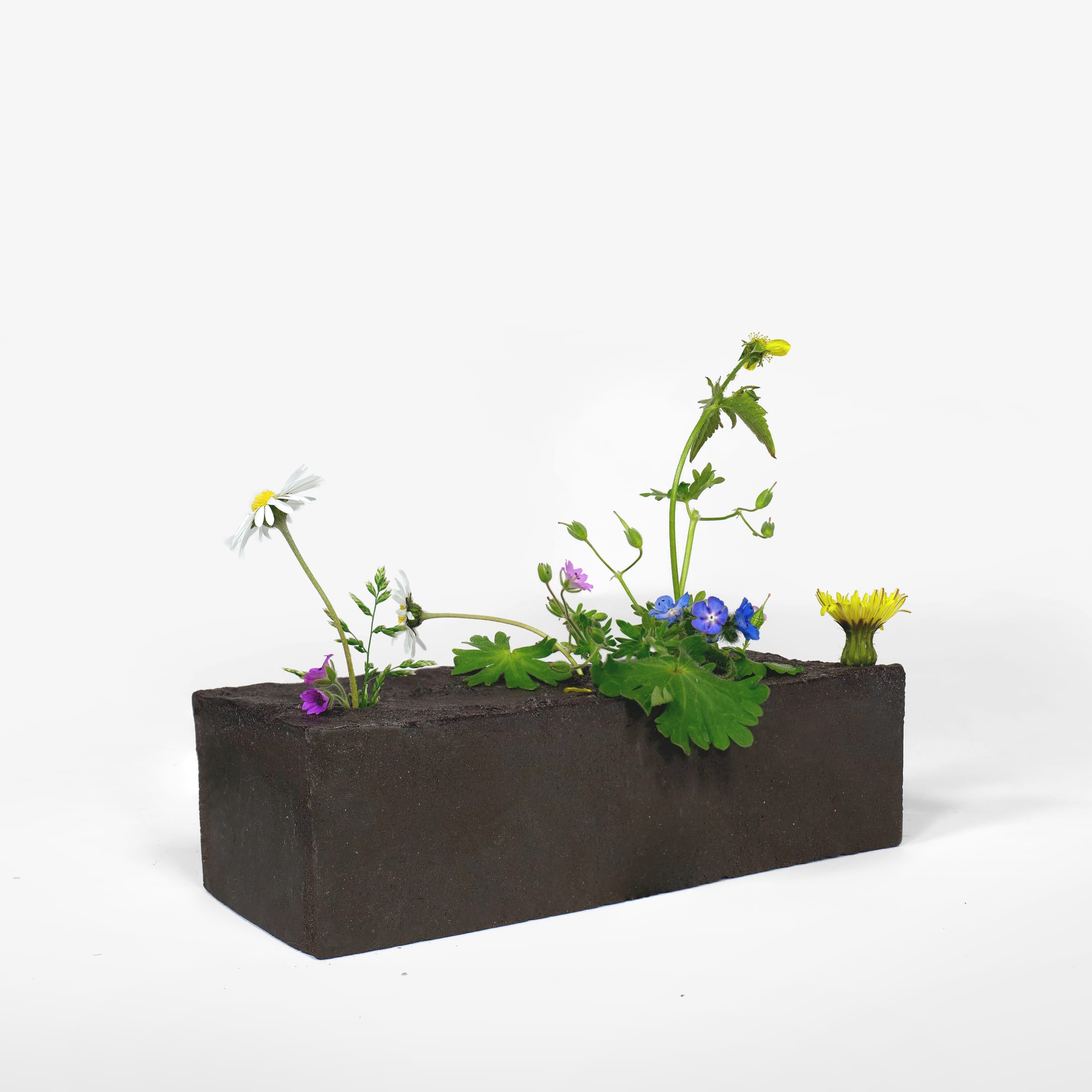 Vase for weeds