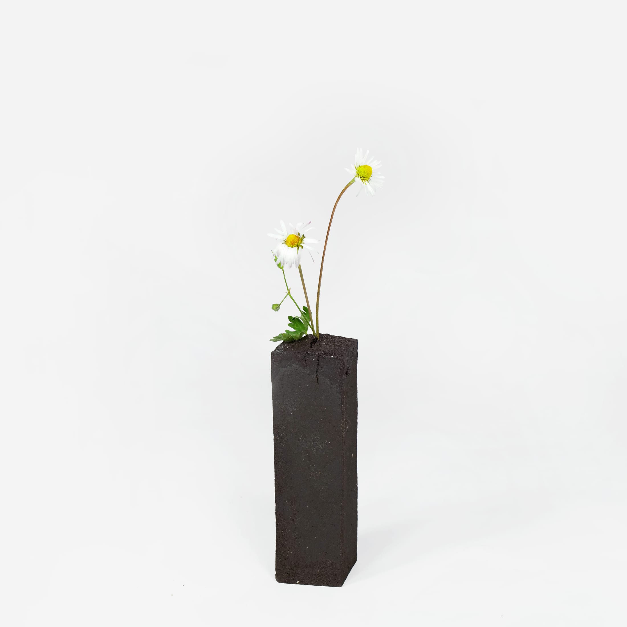 Vase for weeds